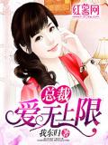 總裁愛無上限小說