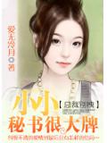 總裁別拽：小小秘書很大牌小說