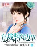 總裁不吃窩邊草小說