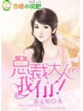 總裁大人,我有了!小說