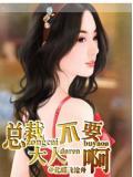 總裁大人不要啊小說