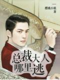 總裁大人哪裡逃小說