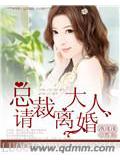 總裁大人請離婚小說