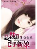 總裁的二手新娘小說