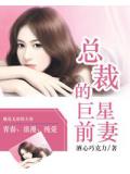 總裁的巨星前妻小說