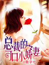 總裁的可口小嬌妻小說