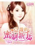 總裁的蜜制新妻 - 二聶小說
