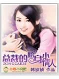 總裁的賠身小情人小說