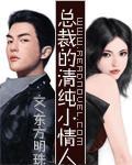 總裁的清純小情人小說