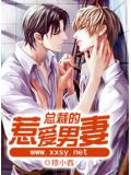 總裁的惹愛男妻小說