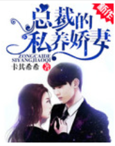 總裁的私養嬌妻小說