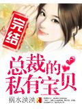總裁的私有寶小說