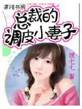 總裁的調皮小妻子小說