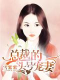 總裁的頭號寵妻小說
