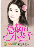 總裁的小妻小說