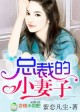總裁的小妻子小說