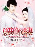 總裁的小逃妻小說