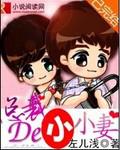 總裁的小小妻小說