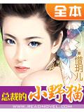 總裁的小野貓小說