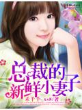 總裁的新鮮小妻子小說
