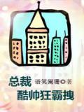 總裁酷帥狂霸拽小說