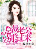 總裁老公別過來小說