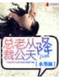 總裁老公從天降小說