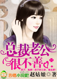 總裁老公很不善小說