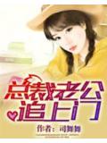總裁老公追上門小說