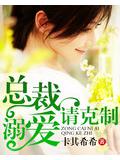 總裁溺愛請剋制小說