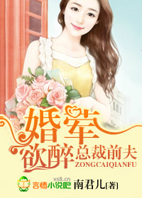 總裁前夫小說