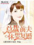總裁前夫,休想復婚!小說