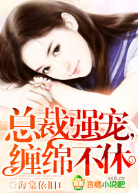 總裁強寵,纏綿不休小說