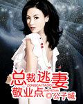 總裁逃妻敬業點小說