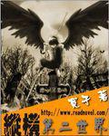 縱橫第二世界（寬子）小說