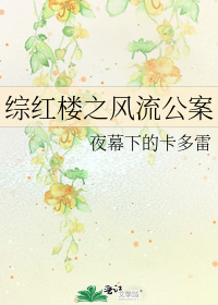 綜紅樓之風流公案小說