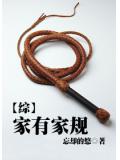 綜家有家規小說