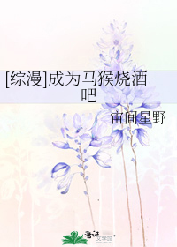 [綜漫]成爲馬猴燒酒吧小說
