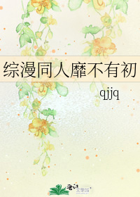 綜漫同人靡不有初小說