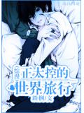 綜漫正太控的世界旅行小說