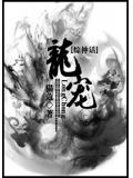 綜神話龍寵小說