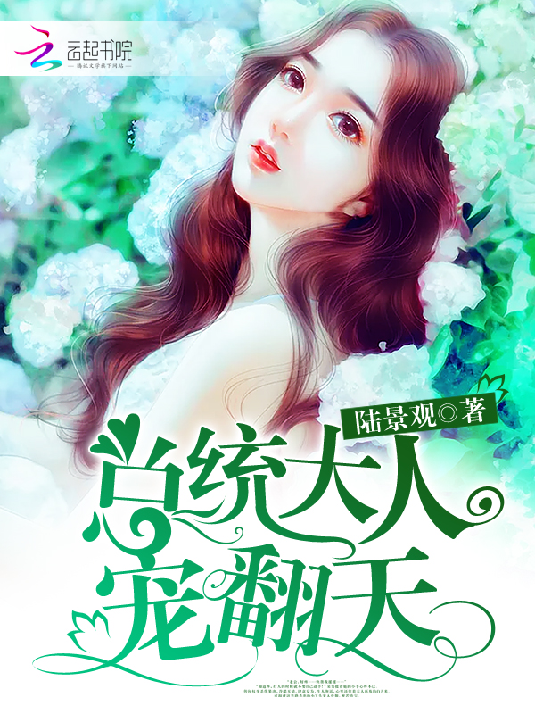 總統大人，寵翻天！小說