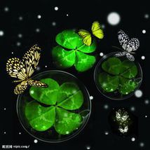 走過的青春之愛你無悔小說