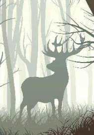 罪惡與神明共舞小說