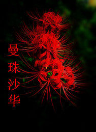 醉夢樓系列之曼珠沙華小說