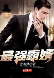 最強霸婿小說