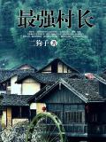 最強村長小說