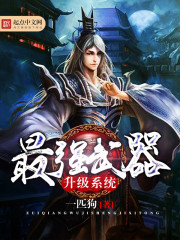 最強武器升級系統小說