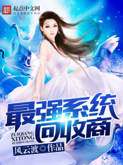 最強系統回收商小說