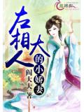 左相大人的小嬌妻小說